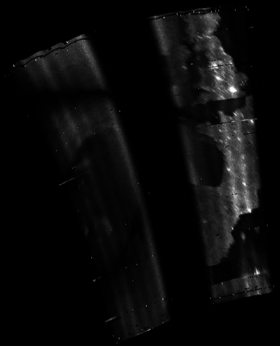 ascat_grayscale_proj_downward.png